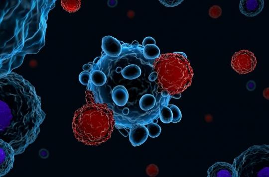 Cancer : Les cellules CAR-T anti-HLA-G d’Invectys démontrent leur efficacité